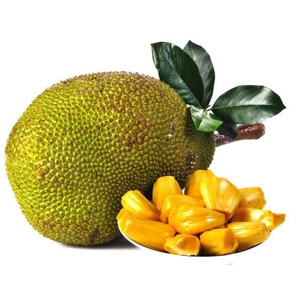 Mít dai ta nguyên quả