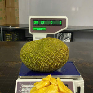 Mít quả dai ta 5kg
